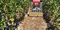 semoir pour vigne